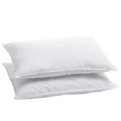 Lot 2 Oreillers Ergonomique Antiacariens