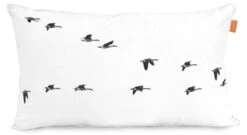 Trip Housse De Coussin (2er Set) -Univers du Lit Boutique 0b240b34cc3f4cb7b146cfcfeaa8449b.cropped 175 558 1663 910.processed