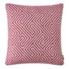 Housse De Coussin Scale