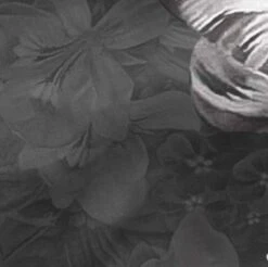 Onyx Taie D'oreiller -Univers du Lit Boutique 19bd399630604aea96c929cad6a9c9bc