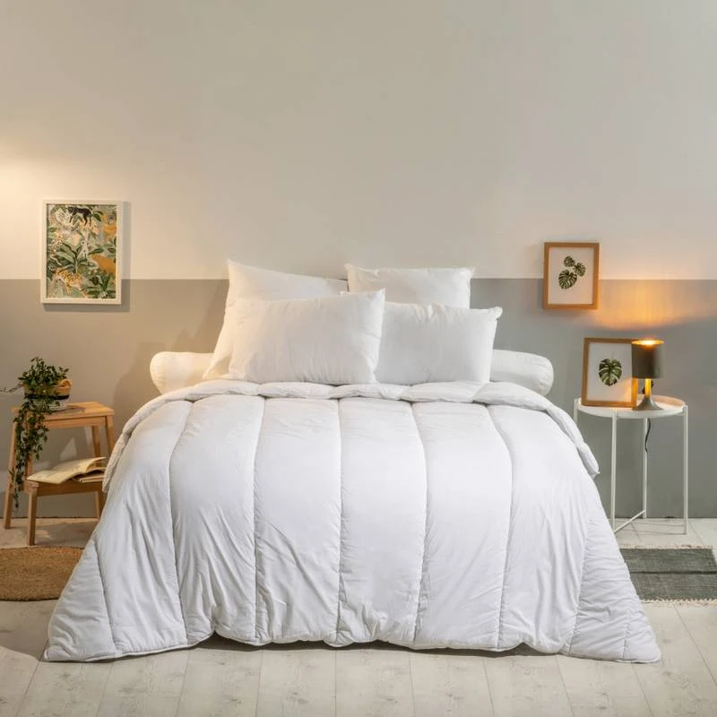 Oreiller Moelleux Coton Bio Gots 4 Oreiller Moelleux Coton Bio Gots â Image 2