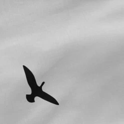 Trip Drap-housse -Univers du Lit Boutique 2d28479d55ba4501b3bbe83d2a7de881