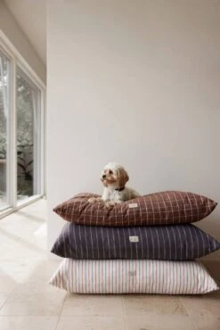 Coussin Noir -Univers du Lit Boutique 4a7181a44d0d4a7599b63413e3b1a0fe