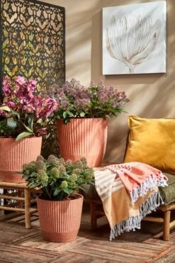 Coussin Charme -Univers du Lit Boutique 5c6333a8be6948709c2bcaadb925111e