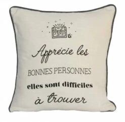 Coussins Standards Coton Ivoire