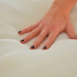 Oreiller Aloe Vera -Univers du Lit Boutique 7899480472154be593860b3a54c77bea 1