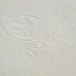 Oreiller Aloe Vera -Univers du Lit Boutique 920ab1ed8143483397b8b457291c5407 1