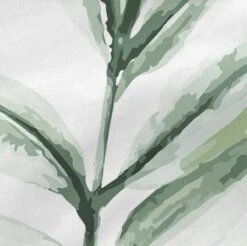 Delicate Taie D'oreiller -Univers du Lit Boutique a1302a0c3bdb4c8b87115f3306ee8c7a