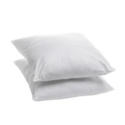 Lot De 2 Oreillers Moelleux Hygiafill